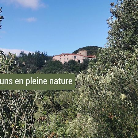 Pyrenees Mon Amour Felluns 外观 照片