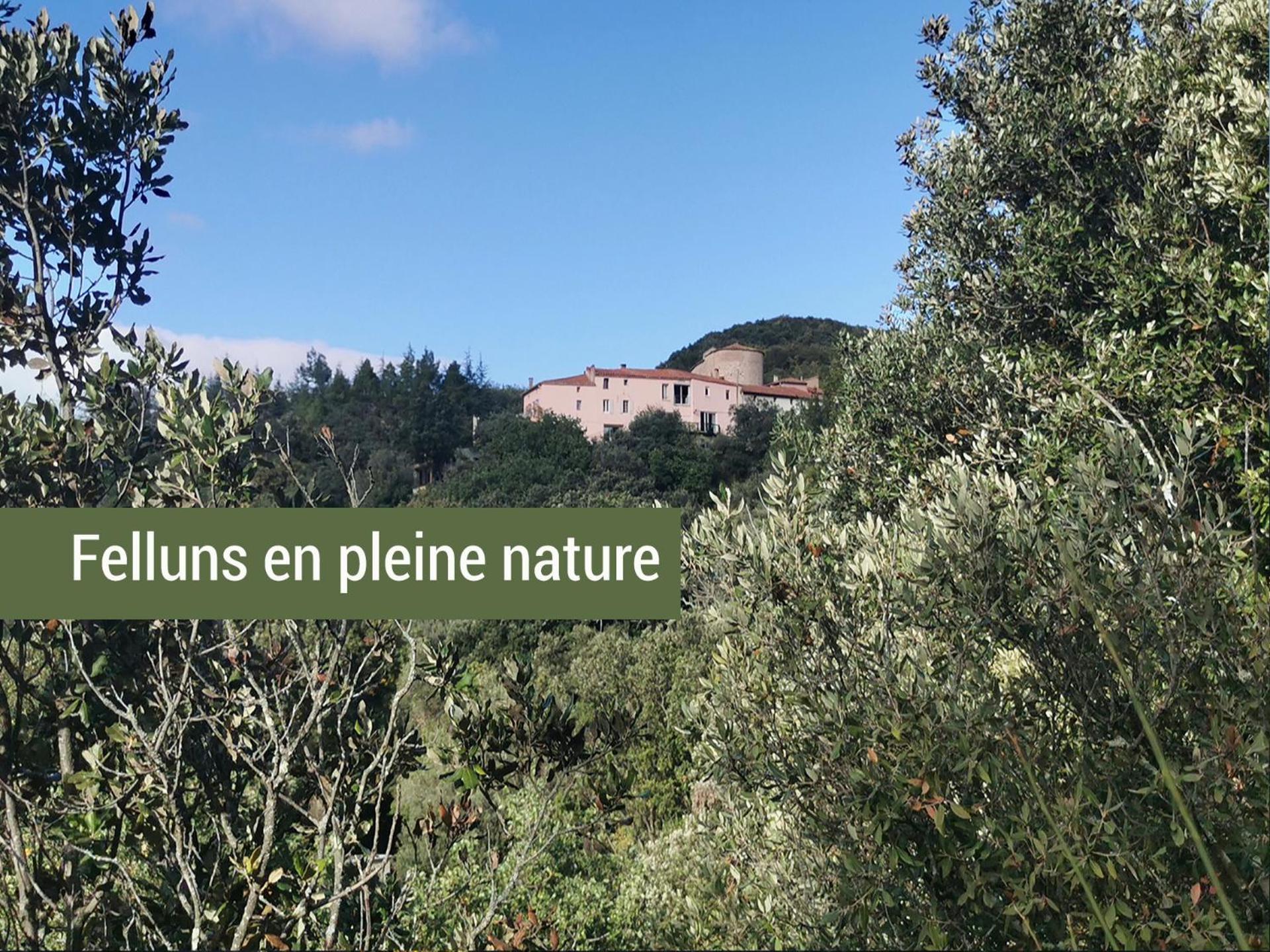 Pyrenees Mon Amour Felluns 外观 照片
