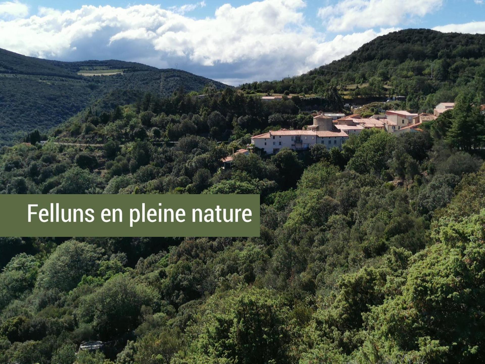 Pyrenees Mon Amour Felluns 外观 照片